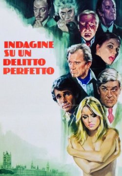 Indagine su un delitto perfetto