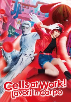 Cells at Work! - Lavori in corpo